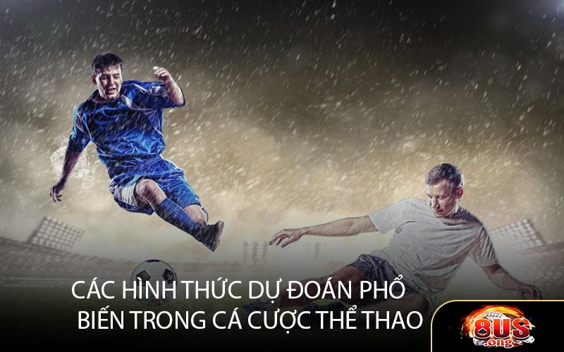 Các Hình Thức Dự Đoán Phổ Biến Trong Cá Cược Thể Thao