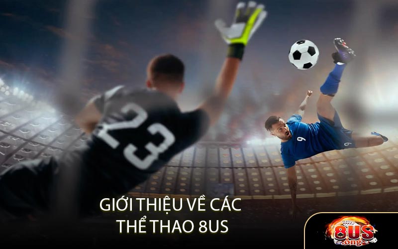 Giới thiệu Về Các thể thao 8US 