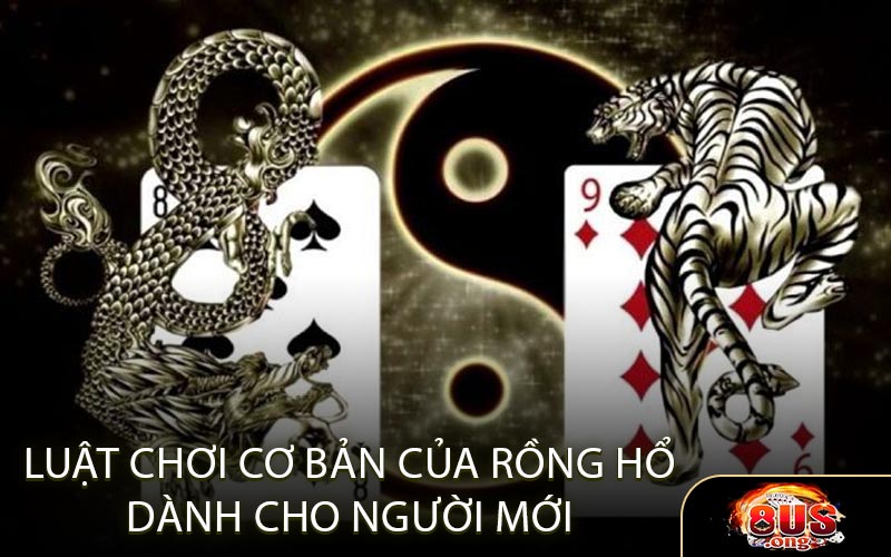 Luật Chơi Cơ Bản Của Rồng Hổ Dành Cho Người Mới