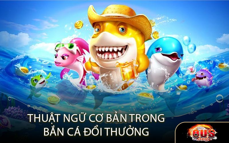 Thuật Ngữ Cơ Bản Trong Bắn Cá Đổi Thưởng
